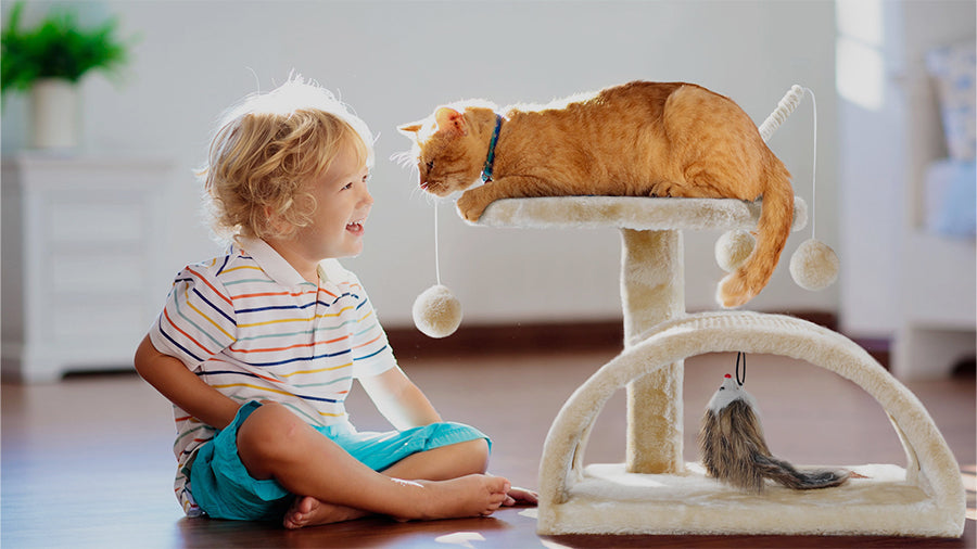 Choosing the purrrfect cat tree