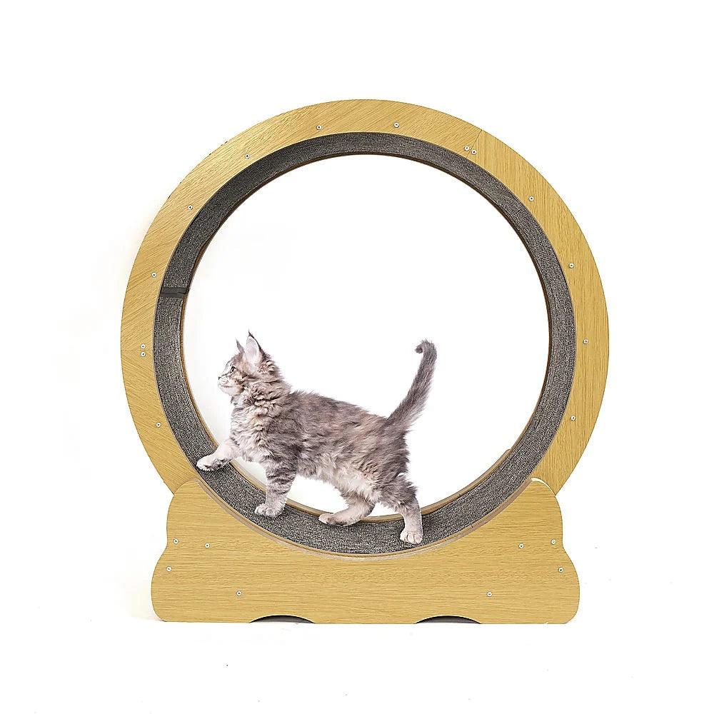 Kittens Cat Running Wheel w/ Carpet Runway Cat Exercise Wheel for Fitness Cat Treadmill