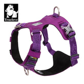 Lightweight Harness Purple 2XS