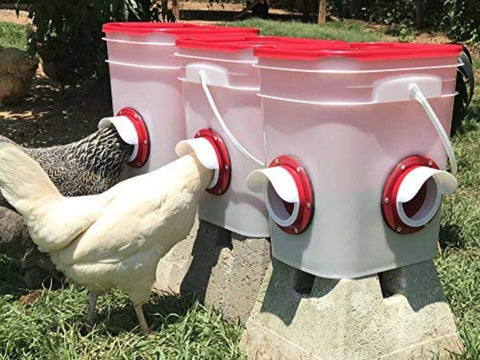 Cheeky Chooka DIY Poultry Feeder Port 4pk