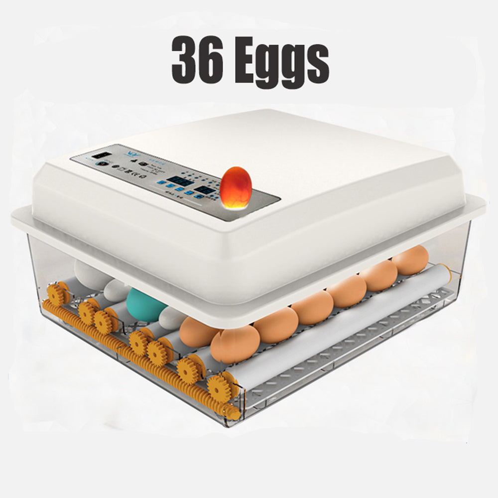 36 Egg Incubator Fully Automatic Digital Thermostat Chicken Eggs Poultry