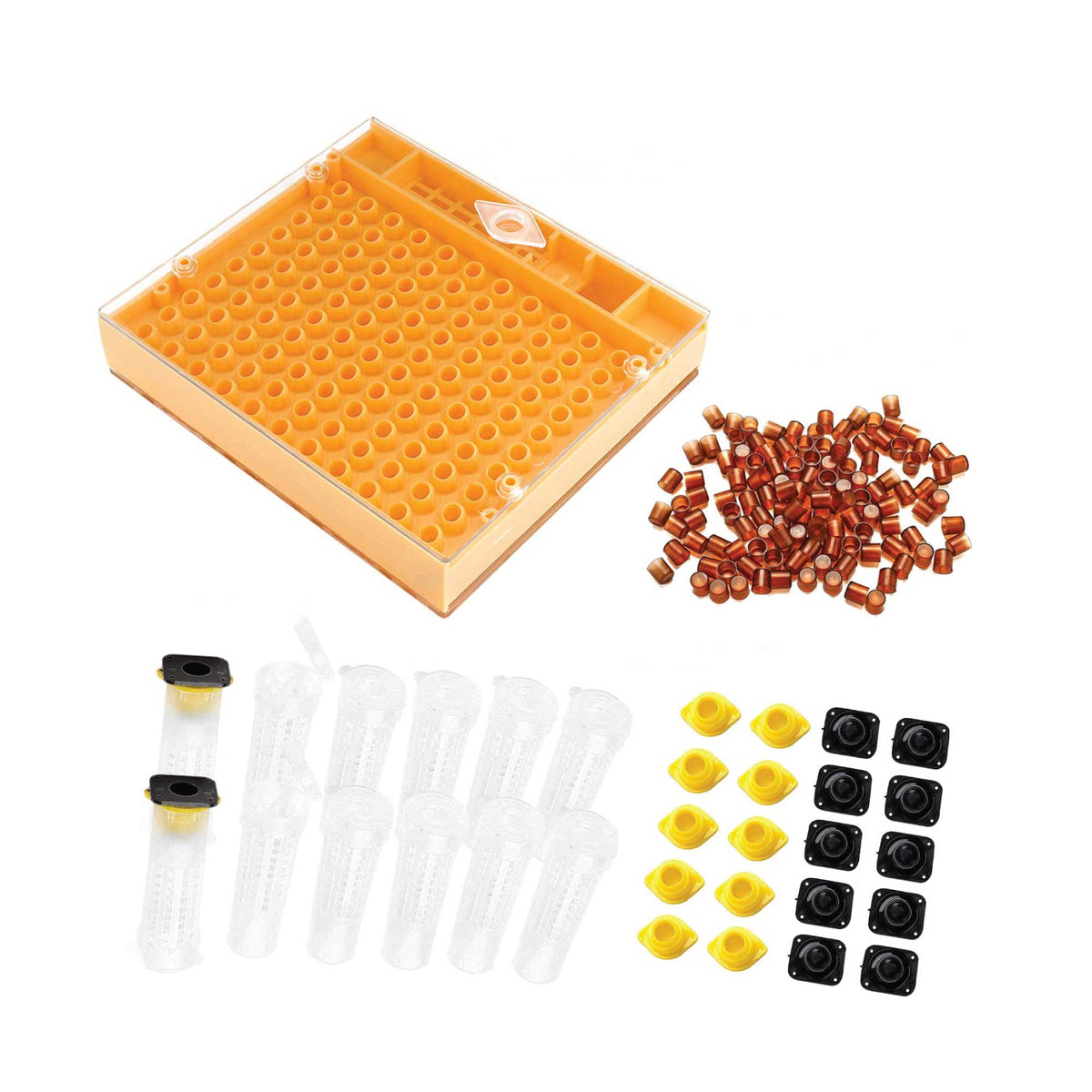 Nicot Queen Bee Rearing System Kit - Basic No Graft Jenter Starter Beekeeping