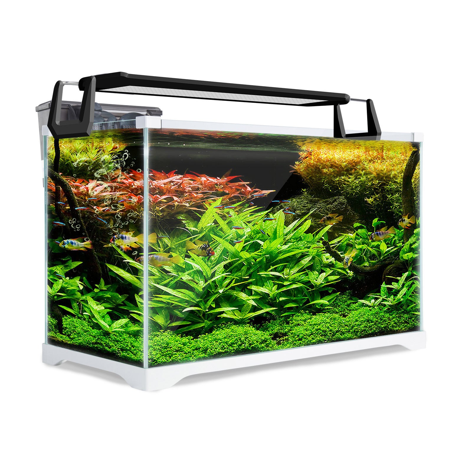 Dynamic Power Aquarium Fish Tank 39L Starfire Glass
