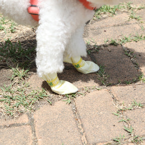 Daeng Daeng Shoes 28pc L Violet Dog Shoes Waterproof Disposable Boots Anti-Slip Socks