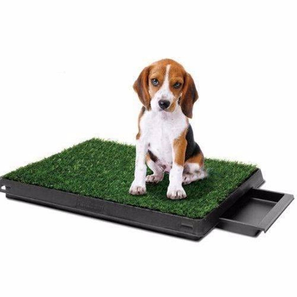 YES4PETS 2 x Synthetic Grass replacement only for Potty Pad Training Pad 59 X 46 CM