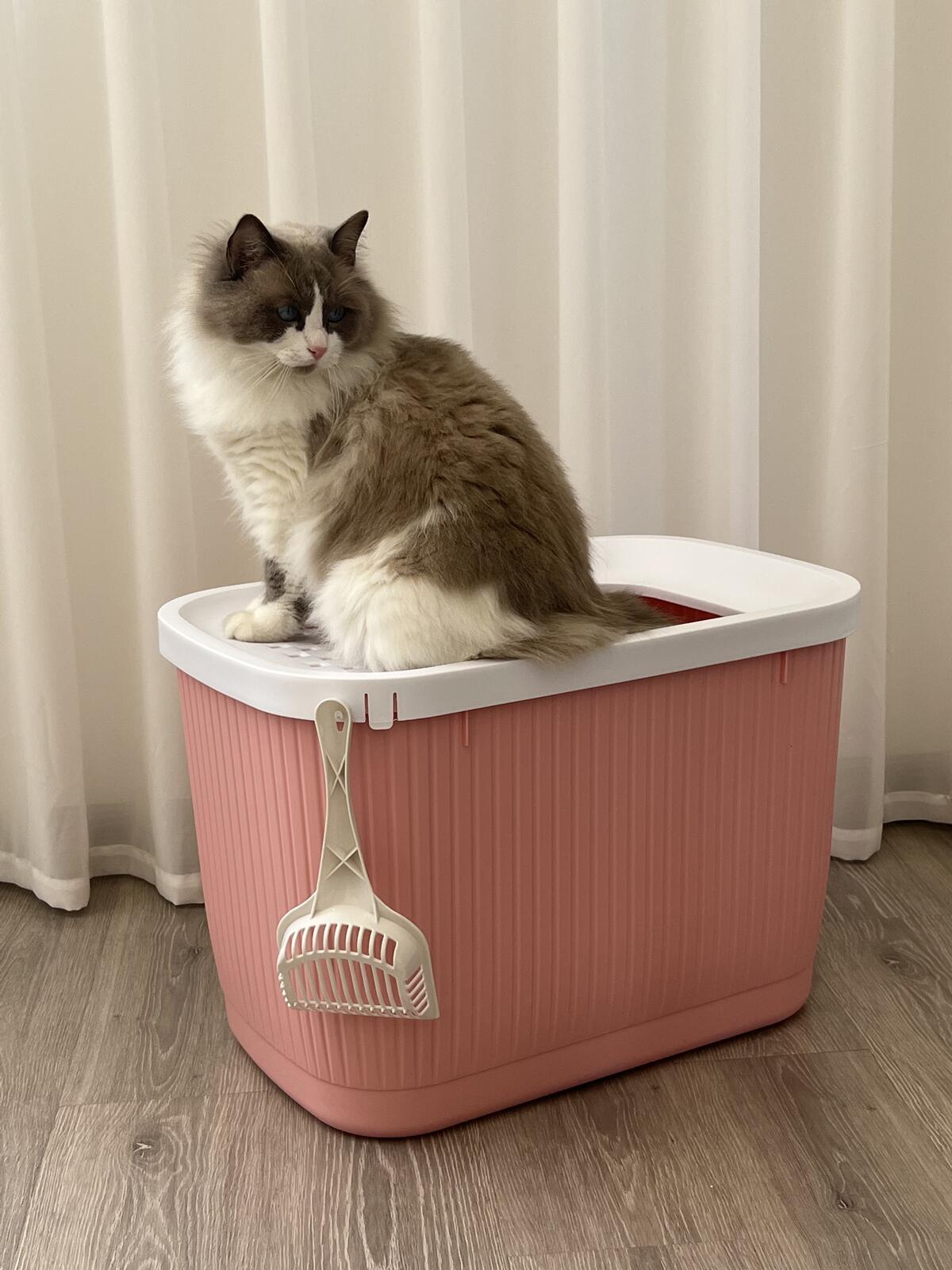 YES4PETS XXL Top Entry Cat Litter Box No Mess Large Enclosed Covered Kitty Tray Pink