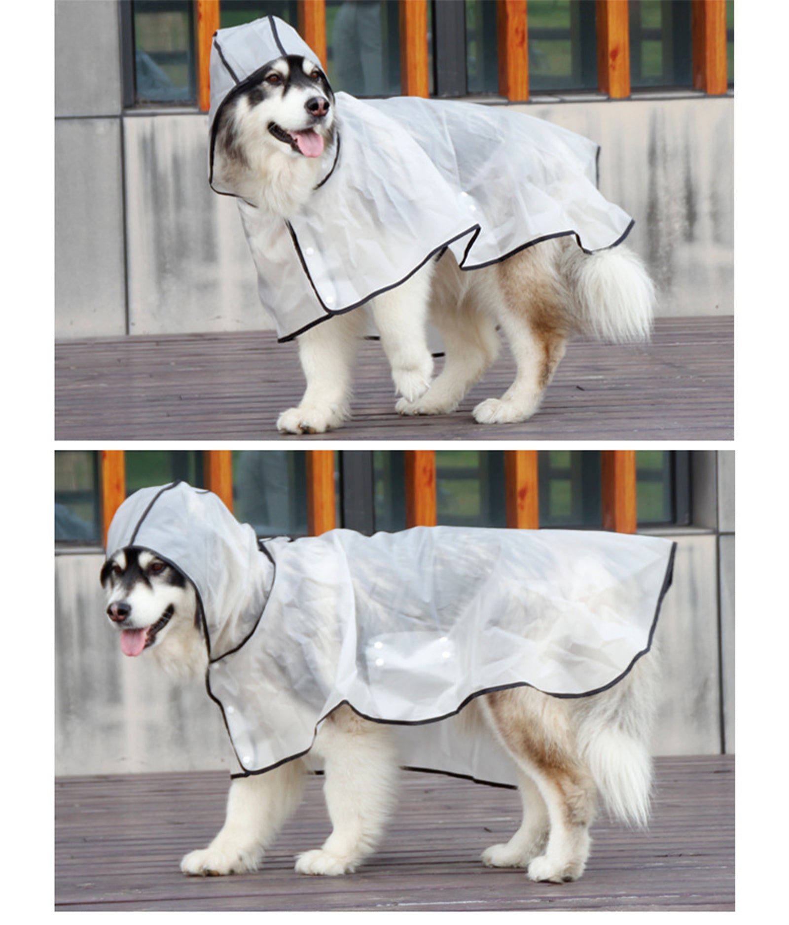 Pawfriends TPU Transparent Pet Cape Raincoat Large Dog Teddy Fado Koki Dog Clothing XXL