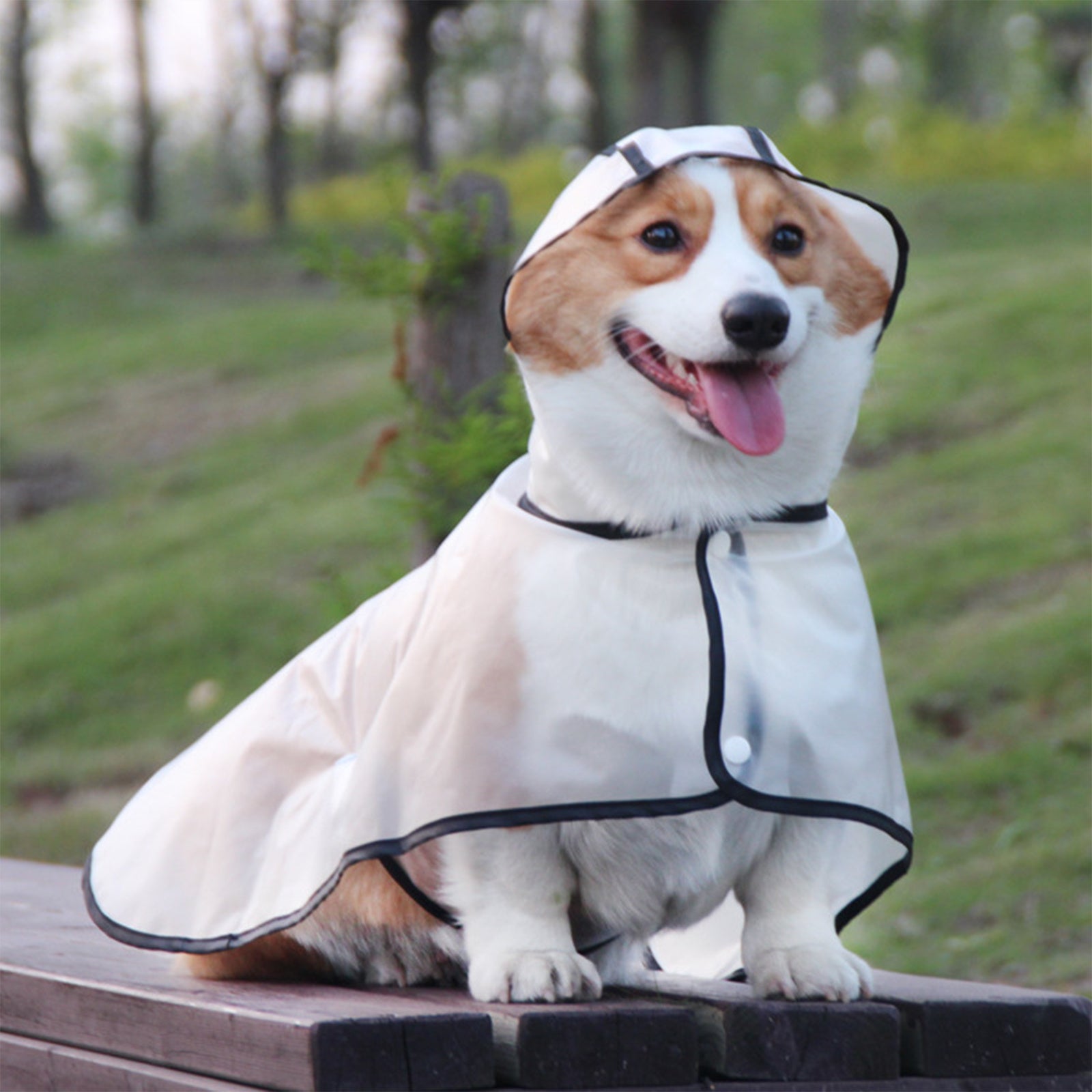 Pawfriends TPU Transparent Pet Cape Raincoat Large Dog Teddy Fado Koki Dog Clothing XXXL