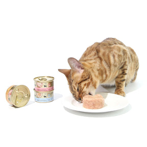CAT FOREST Premium Tuna White Meat With Salmon In Jelly Cat Canned Food 85G X 24