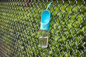 PETKIT Eversweet Travel Water Bottle - Blue 300Ml