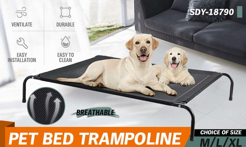 Elevated Pet Bed Dog Puppy Cat Trampoline Hammock Raised Heavy Duty X Large